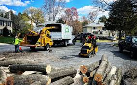 Best Organic Lawn Care Solutions  in Artesia, CA