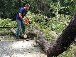 Best Lot and Land Clearing  in Artesia, CA