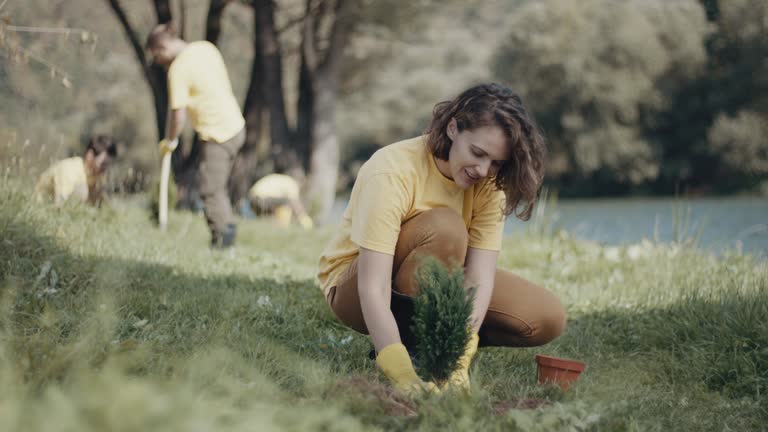 Best Lawn Edging  in Artesia, CA